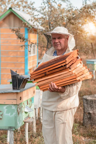 Včelař pracuje s včelami a úly na včelíně. — Stock fotografie