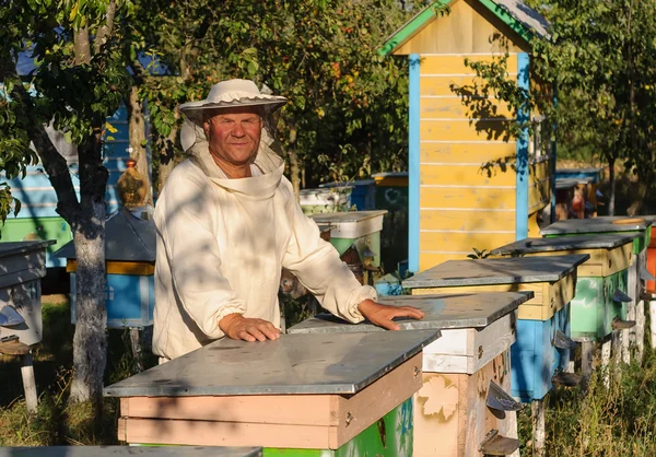 Ο μελισσοκόμος δουλεύει με μέλισσες και μελίσσια στο μελισσοκομείο.. — Φωτογραφία Αρχείου