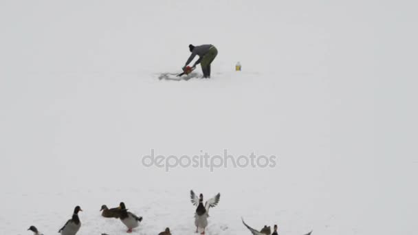 L'homme coupe de la glace avec une tronçonneuse sur le lac gelé — Video