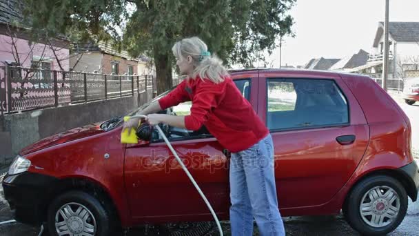 Frau Putzt Auto Frau Putzt Auto