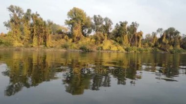 Sonbahar Tisa Nehri