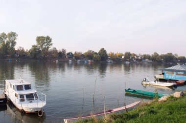 Riverside Tisa Nehri Güz