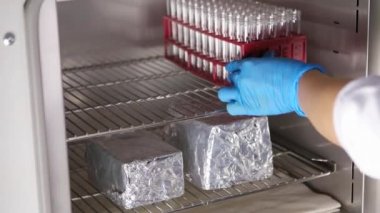 Thermoventilated otoklav sterilizasyon cihazları tıbbi bir dolap. Bilim adamı onun aletleri sterilizasyon makinesi içine koyar.