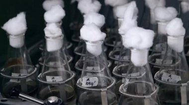Laboratuvar şişe sallayarak sıvı doku mikrobiyal kültürü, shaker, kuluçka makinesi