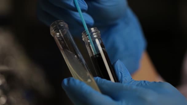 곰 팡이 테스트 튜브와 실험실에서 일 하는 실험실 노동자. 감자 포도 당 한 천 격판덮개에 식민지의 곰 팡이 포자 문화 실험 미생물학 실험실에서 작은 빛 알갱이 포함합니다. 슬로우 모션. — 비디오
