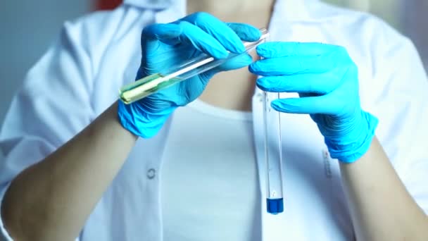 Vědec žena nalití kapaliny do lékařské zkumavky v laboratoři nebo v nemocnici — Stock video