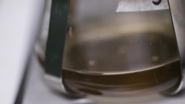 Лабораторні пляшки, що трясуть культуру рідкої тканини в шейкері, інкубатор — стокове відео