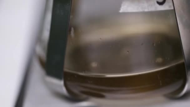 Bouteilles de laboratoire agitant la culture microbienne de tissu liquide au shaker, incubateur — Video