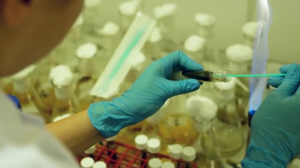 실험실에서 무 균 유기 체 외피입니다. 과학자 여자 불꽃 램프 미생물학 실험실 작업. — 비디오