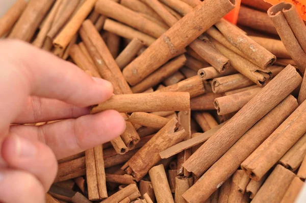 Çiftçi pazarda tarçın tutan erkek el sopa.