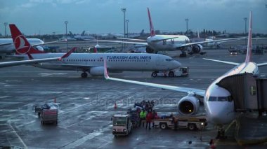 Istanbul Türkiye - Aralık 13-2016: Havaalanı çalışanları yükleme ve Bagaj konveyör gidip gelen ticari havayolu uçak üzerinde kaldırma.