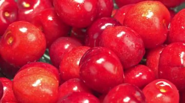 Taze kiraz tabak içinde döndürme
