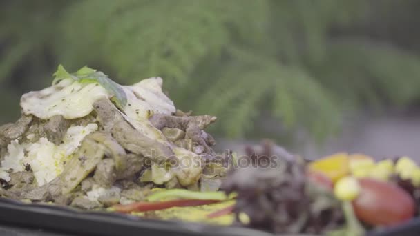 Carne de bovino, arroz, queijo mussarela e legumes que giram no prato . — Vídeo de Stock