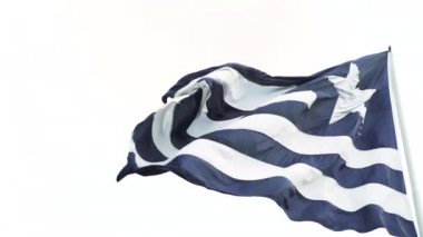 Botafogo futbol kulübü bayrak sallayarak yavaş Rio de Janeiro, Brezilya.