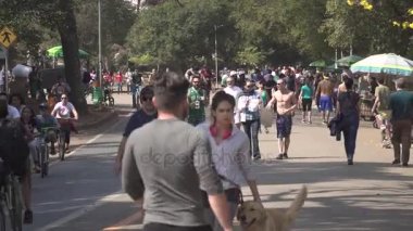 Sao Paulo, Brezilya - Ağustos 2017: İnsanların Ibirapuera Park Sao Paulo, Brezilya için sıcak güneşli bir gün zevk.