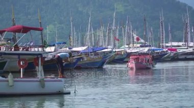 Brezilya, devlet Rio de Janeiro, Paraty - Ağustos, 2017: Paraty limanda görünümünü.
