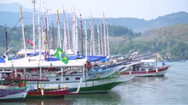 Brezilya, devlet Rio de Janeiro, Paraty - Ağustos, 2017: Paraty limanda görünümünü.