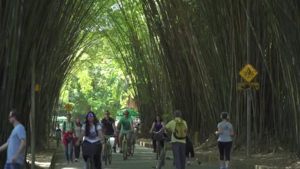 Sao Paulo, Brazilië - augustus 2017: Mensen genieten van een warme zonnige dag onder Bamboe bomen in het Ibirapuera Park in Sao Paulo, Brazilië. — Stockvideo