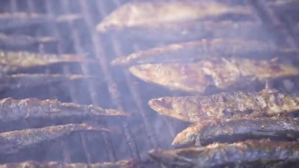 蒸気でグリルで焼き魚 — ストック動画