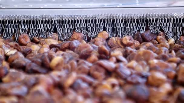 Dried Figs Conveyor Belt Drying Industrial Microwave — Stock Video