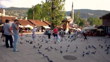 Sarajevo, Bosna Hersek Temmuz 2017 - güvercinler grup ve çocuklar Saraybosna'nın eski şehir oynarken. Başkenti ve en büyük şehir Bosna ve Hersek'in Saraybosna olduğunu
