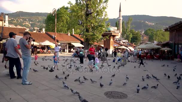 Sarajevo Bosnie Herzégovine Juillet 2017 Groupe Pigeons Enfants Joue Dans — Video