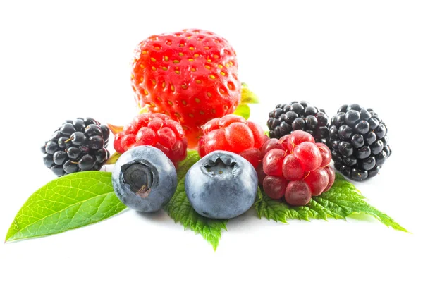 Collection of fresh wild berries on white background — Stock Photo, Image