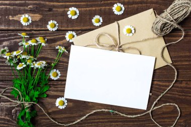 Boş tebrik kartı ve beyaz papatya çiçeği ile zarf