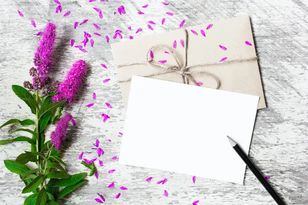 Blank vit gratulationskort och kuvert med lila blommor — Stockfoto