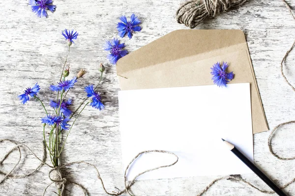 Cartão branco branco e envelope com flores de milho — Fotografia de Stock