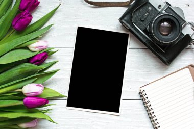 retro Vintage fotoğraf makinesi ile boş fotoğraf çerçevesi ve mor Lale flo