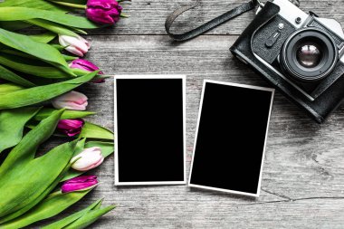 retro Vintage fotoğraf makinesi ile boş fotoğraf çerçeveleri ve mor Lale fl