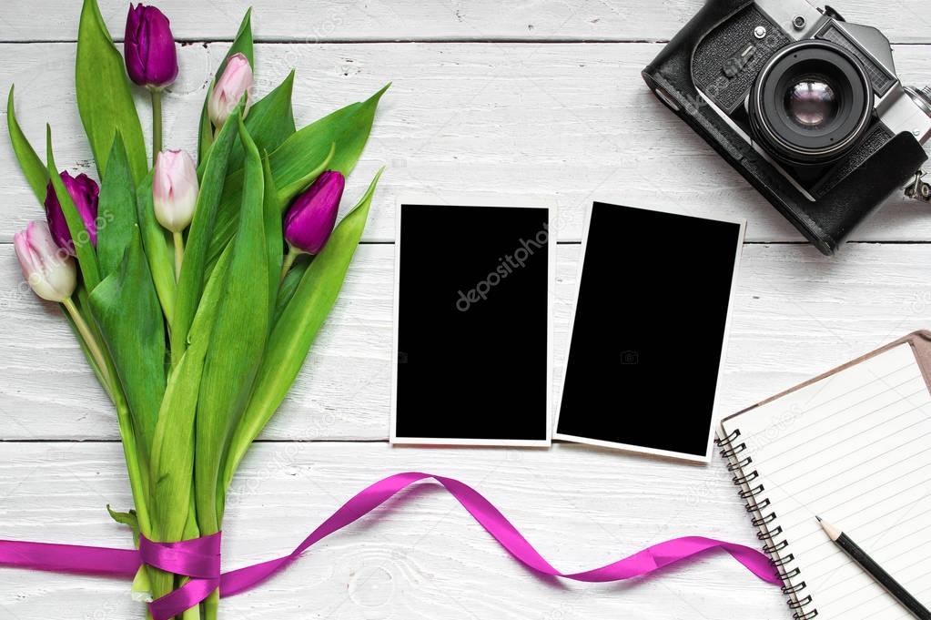 blank photo frames, vintage retro camera and purple tulip flower