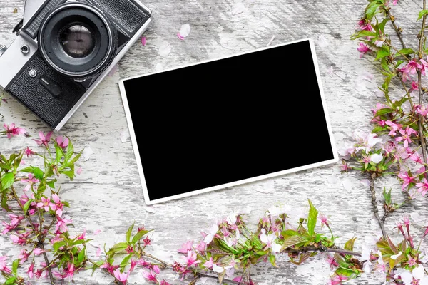 vintage retro camera and blank photo in a frame from spring flowers