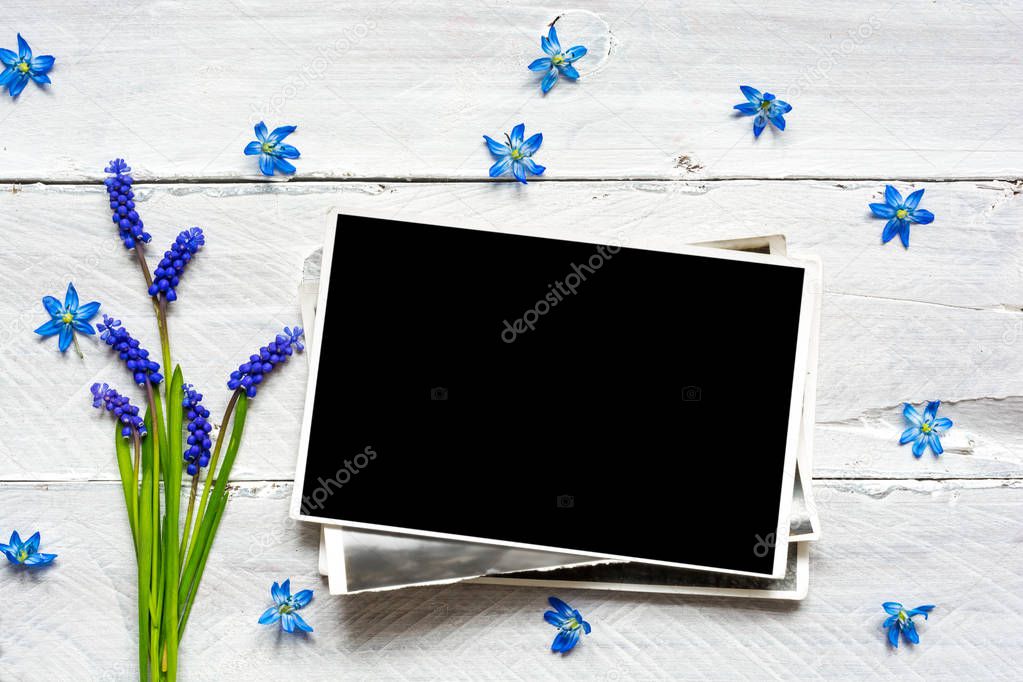 blank photo frame and spring blue flowers bouquet