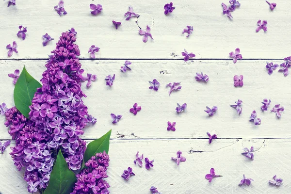 Lila bloemen boeket over witte houten achtergrond — Stockfoto