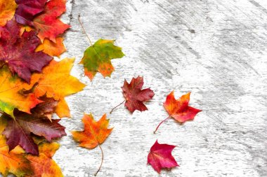 Beyaz rustik ahşap arka plan üzerinde sonbahar yaprakları