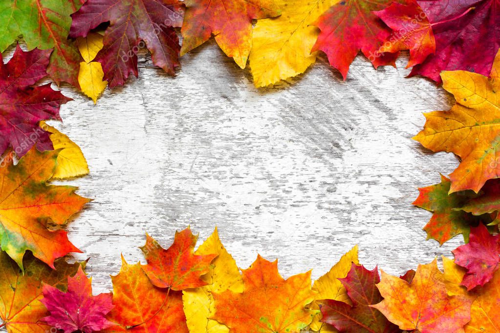 autumn leaves frame over white rustic wooden background