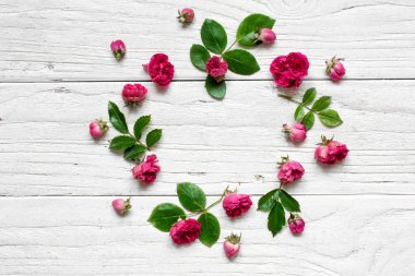 yuvarlak çerçeve çiçek deseni çiçekli güller, tomurcukları, dalları ve yaprakları