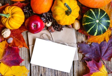 boş tebrik kartı ve Şükran sonbahar sonbahar arka planda çerçeve hasat kabak, elma, fındık ve akçaağaç yaprakları zarf