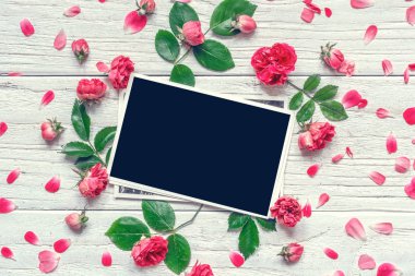 Çiçek kompozisyon. pembe Gül çiçek boş fotoğraf çerçevesi ile çerçeve yaptı