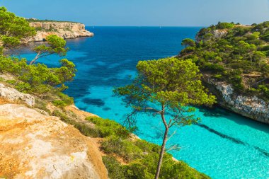 Güzel sahil Cala des Moro, Palma Mallorca, İspanya