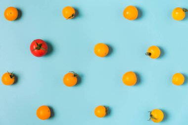 Sarı domatesli kirazlı kırmızı domates. bireysellik ve farklılık kavramı