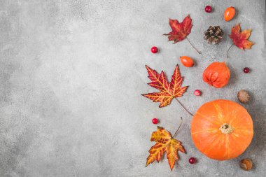 Şükran Günü kompozisyonun kutlu olsun. Balkabağı, sonbahar yaprakları, çiçekler, böğürtlenler, çimentoda fındıklar