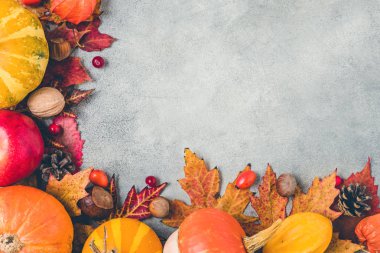 Şükran Günü ya da sonbahar geçmişi. Balkabakları, düşen yapraklar, kuru çiçekler, böğürtlenler ve fındıklar ile sonbahar kompozisyonu