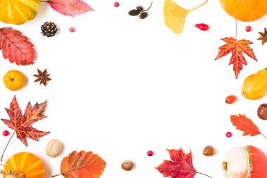 Sonbahar kompozisyonu. Düşen yapraklardan, balkabaklarından, çiçeklerden, böğürtlenlerden, ayva, fındıklardan yapılmış çerçeve beyaz arka planda