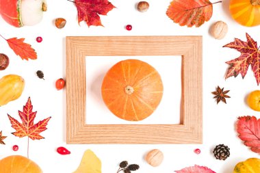 Şükran Günü ya da sonbahar geçmişi. Düşen yapraklardan, kuru çiçeklerden, böğürtlenlerden, fındıklardan ve kabaktan yapılmış sonbahar çerçevesi