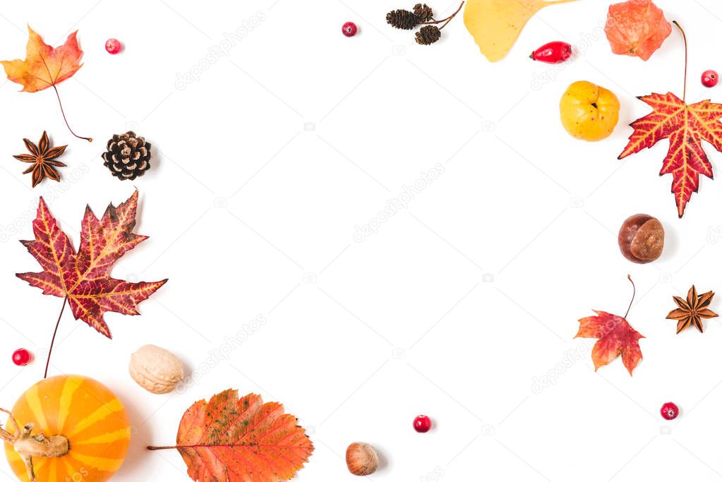 Autumn composition. fall leaves, pumpkins, flowers, berries, quince, nuts isolated on white background