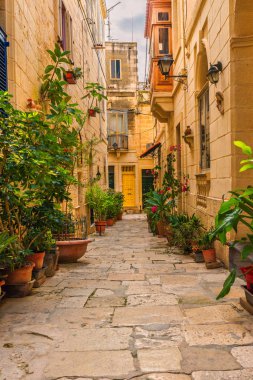 Valletta, Malta. Sarı binaları ve saksıları olan eski bir ortaçağ boş caddesi. Dikey yönelim
