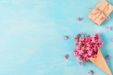 Mavi arka planda hediye kutusuyla waffle külahında çiçek açan bahar pembe kiraz çiçekleri. Asgari bahar konsepti. düz yat
